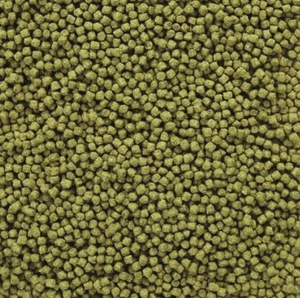 glopex koi algen pokarm dla ryb 100g granulat 6mm