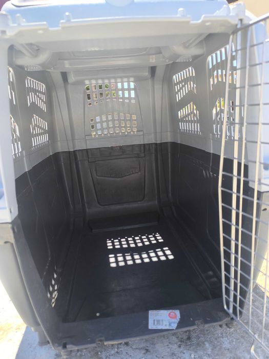 caixa de transporte para animais