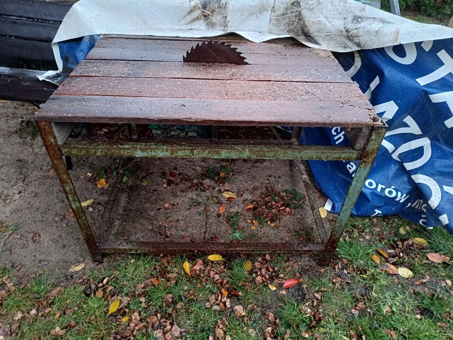 Piła tarczowa krajzega