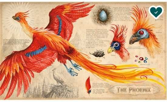 Harry Potter e a Câmara dos Segredos - Edição Ilustrada Nº. 2 - NOVO