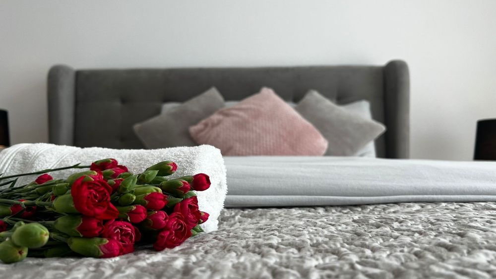 Nowoczesne Apartamenty NA GODZINY