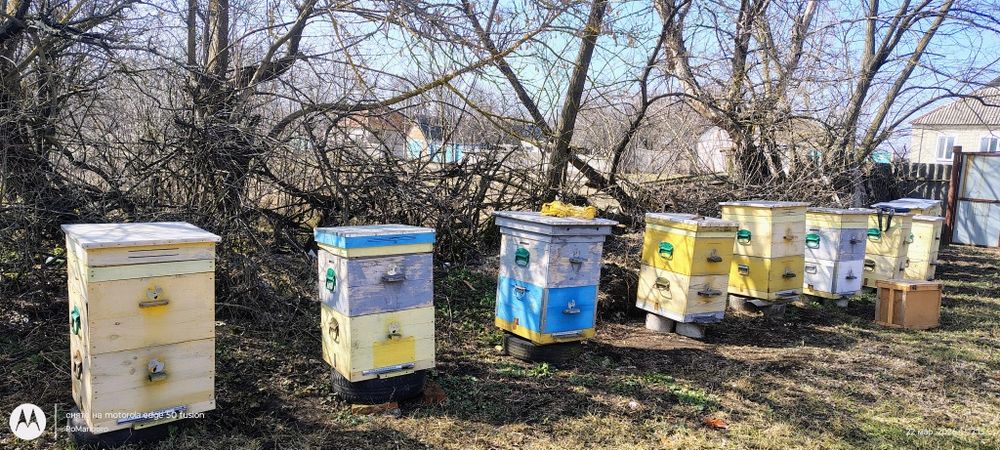 Вулики для бджіл
