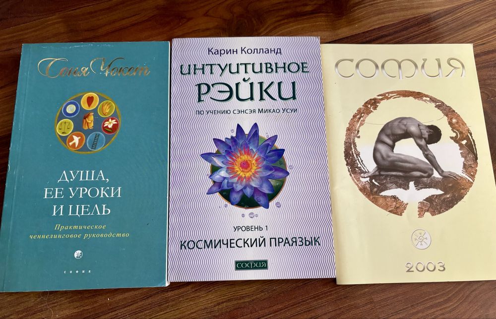Книги соня Чокет Душа, ее уроки и цель Свами Дхармананда Сарасвати