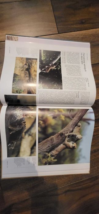 Ilustrowana Geografia Polski. Świat Książki