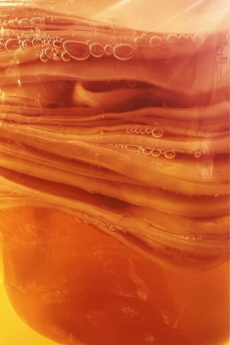 Domowa kombucha “ScobyDoo” Naturalny napój fermentowany