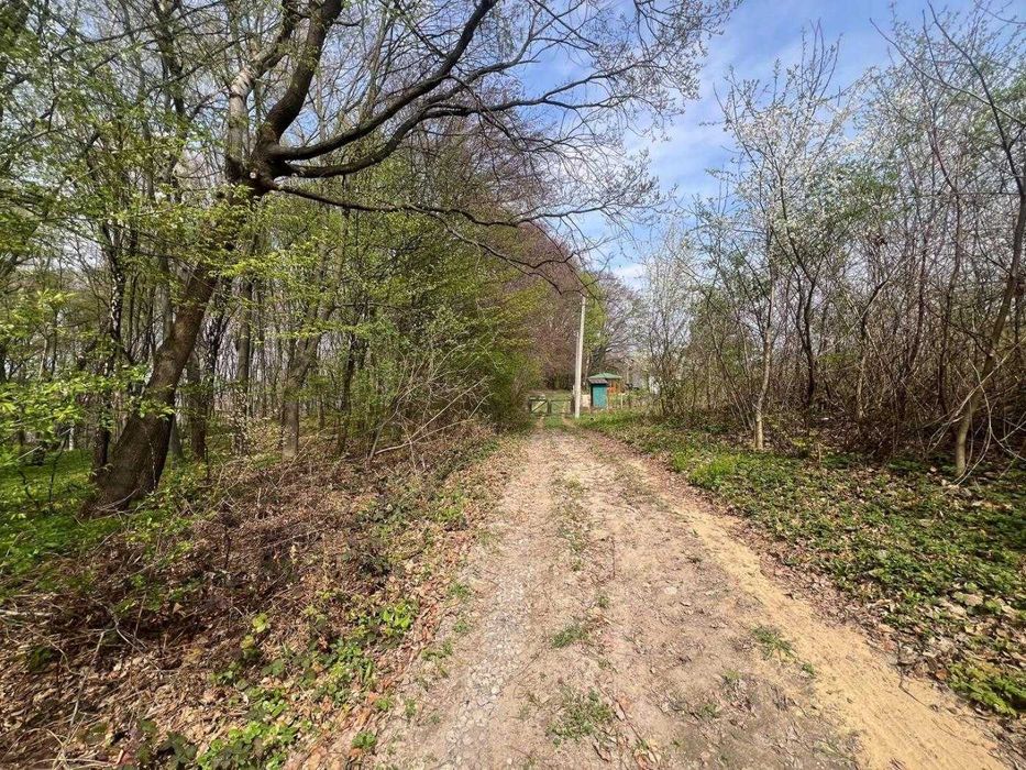 Продаж ділянка під Садівництво в Малі Грибовичі, Жовківський район, Львівська область