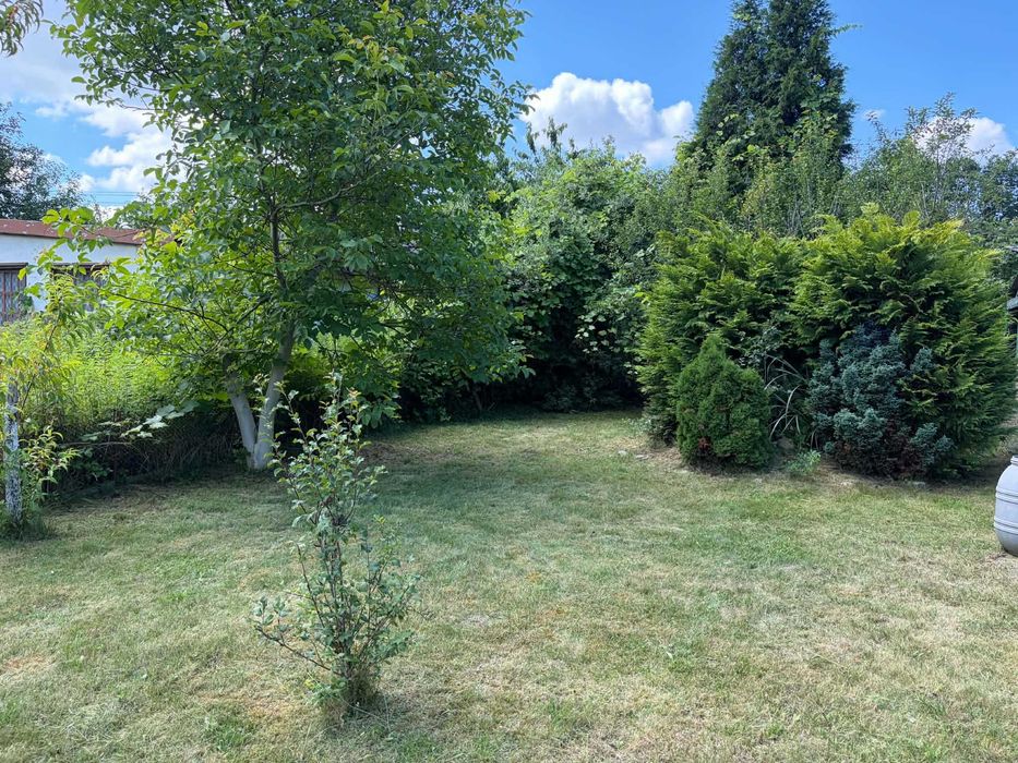 Działka ROD Nad Widawą 396 m² | Murowana altana | Studnia