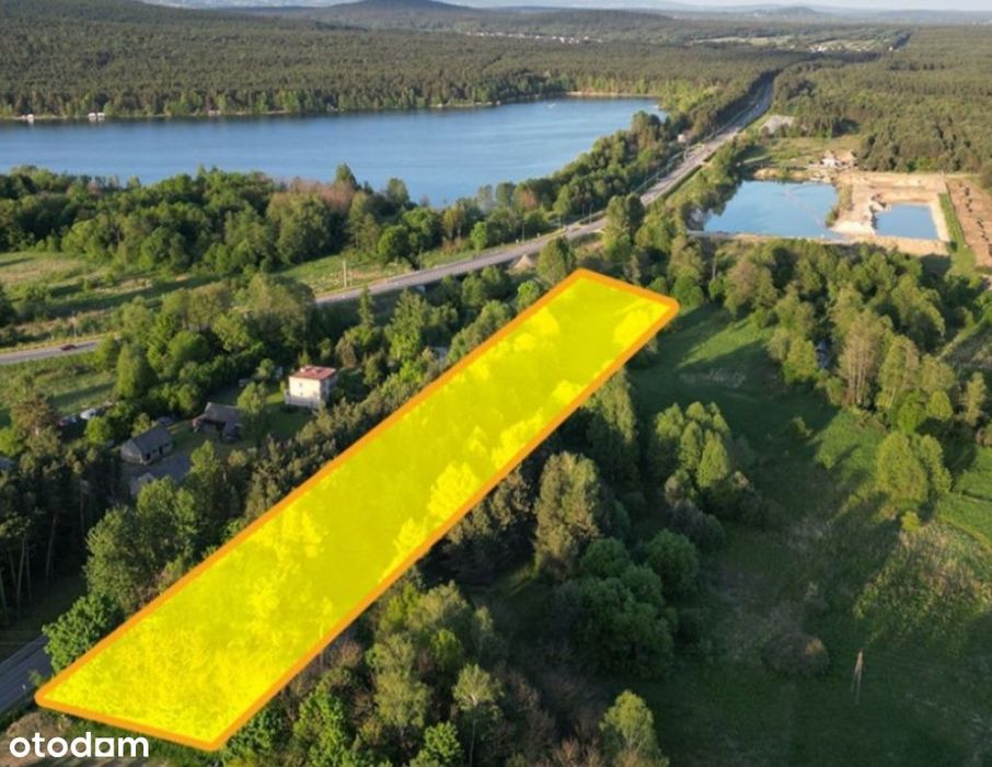 Działka rekreacyjna/Leśna 5900 m² koło Zalewu od wlasciciela