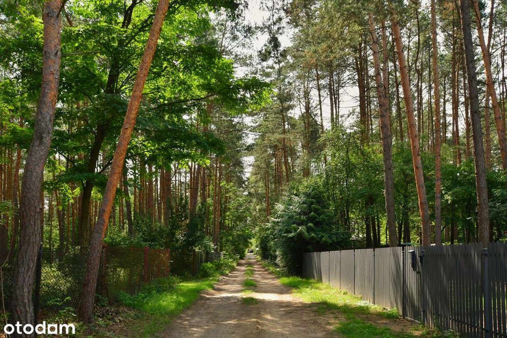 Dwie leśne działki z klimatem, zabudowa letniskowa i całoroczna