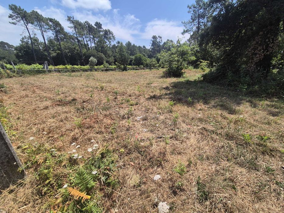 Vendo    Terreno Agrícola