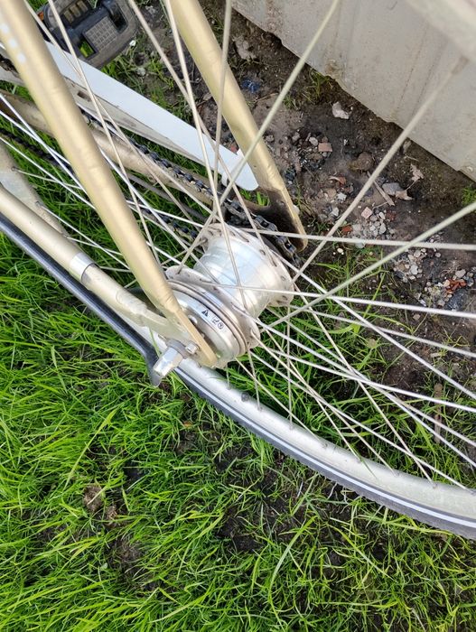 Rower Holenderski Montego