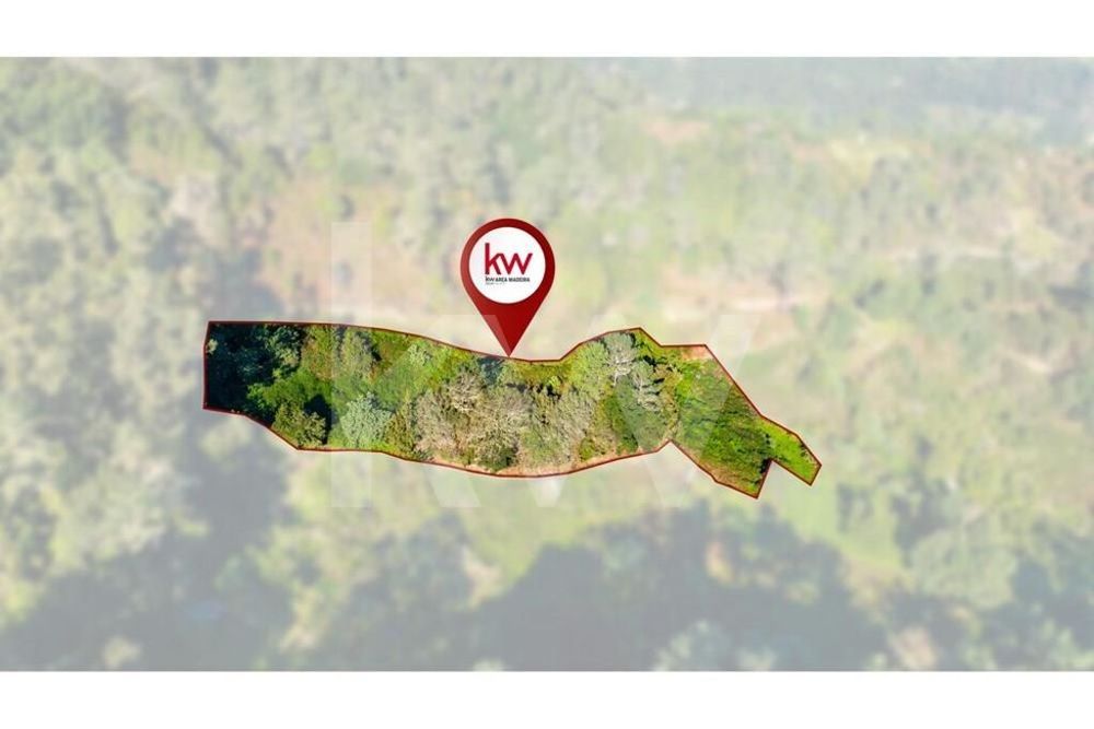 Terreno Com 2980 M2 - Santana - Ilha