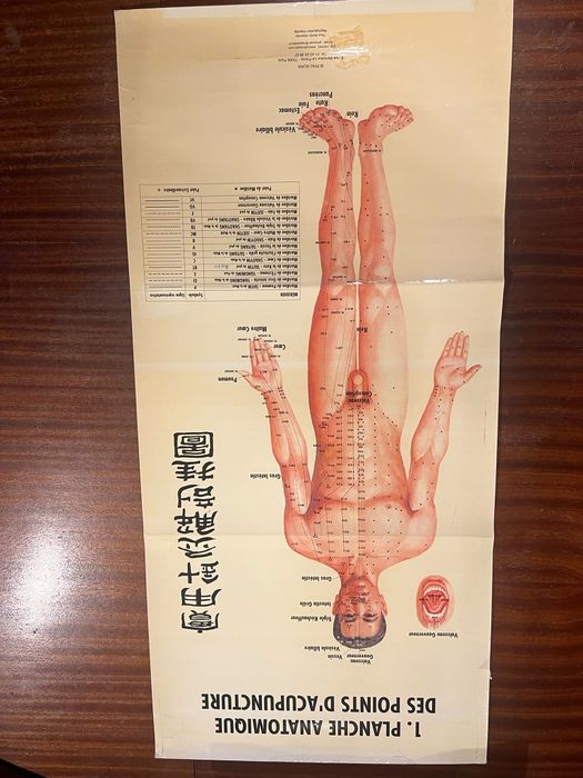 12 Posters / Pranchas de Acupuntura e Anatomia – PHU-XUAN Paris | MTC