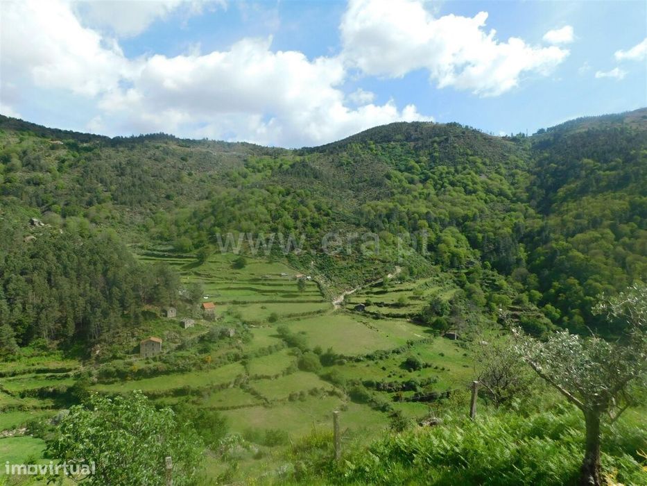 Quinta / Seia, Loriga