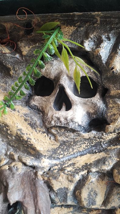 Terrarium na zamówienie