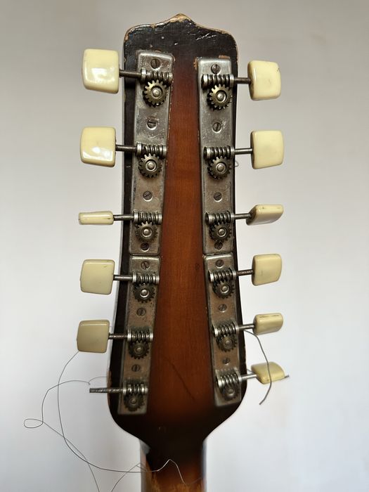 12 strunowa gitara akustyczna Lemański