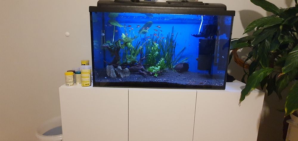 Akwarium+szafka+filtr+grzałka+termometr