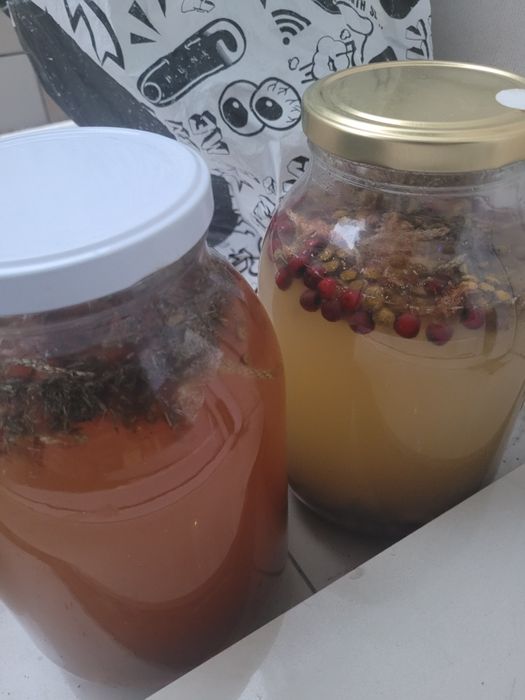 Ocet siedmiu złodziei