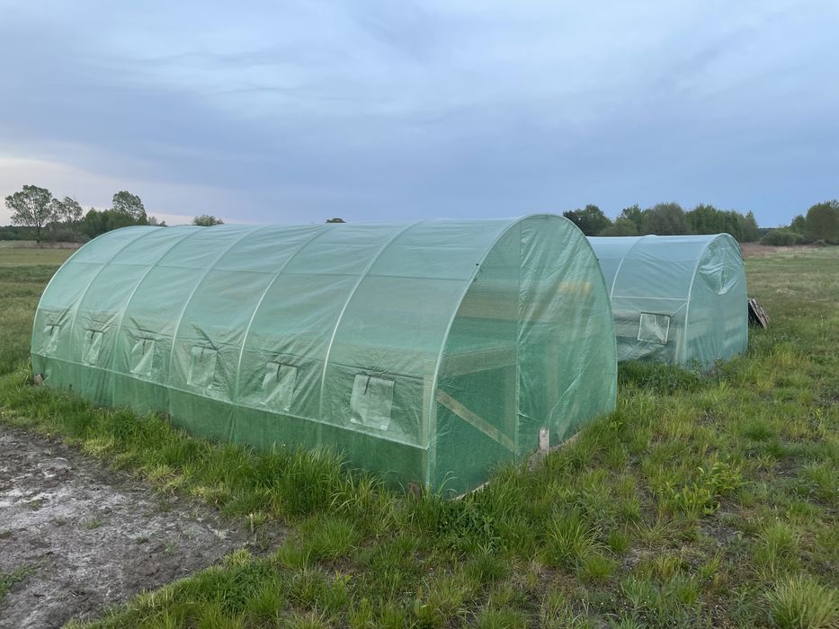 Sprzęt paśniki skrzynki stoły do hodowli ślimaków