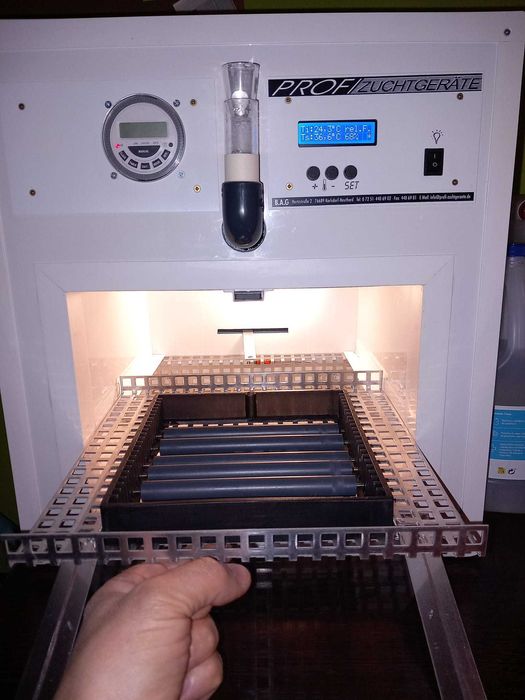 Chocadeira para aves