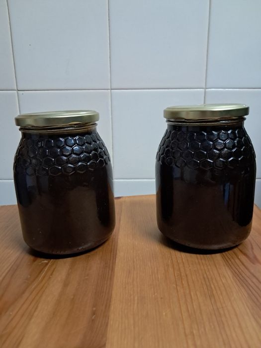 Mel Caseiro Serra do Açor