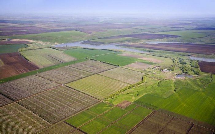 Земельна ділянка