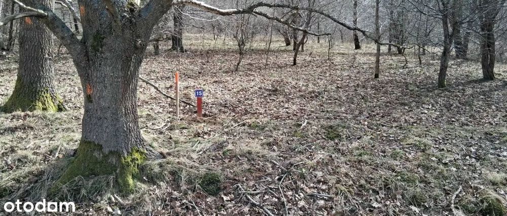 6,75 ha z WZ na 20 domów – 5 km od morza – Charnowo/Ustka - Widok 4