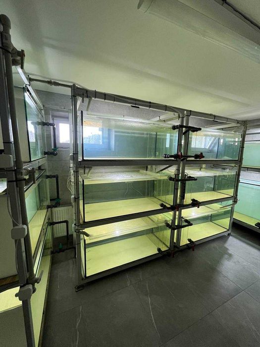 Продам Акваріумне господарство. Акваріуми. 7 тон