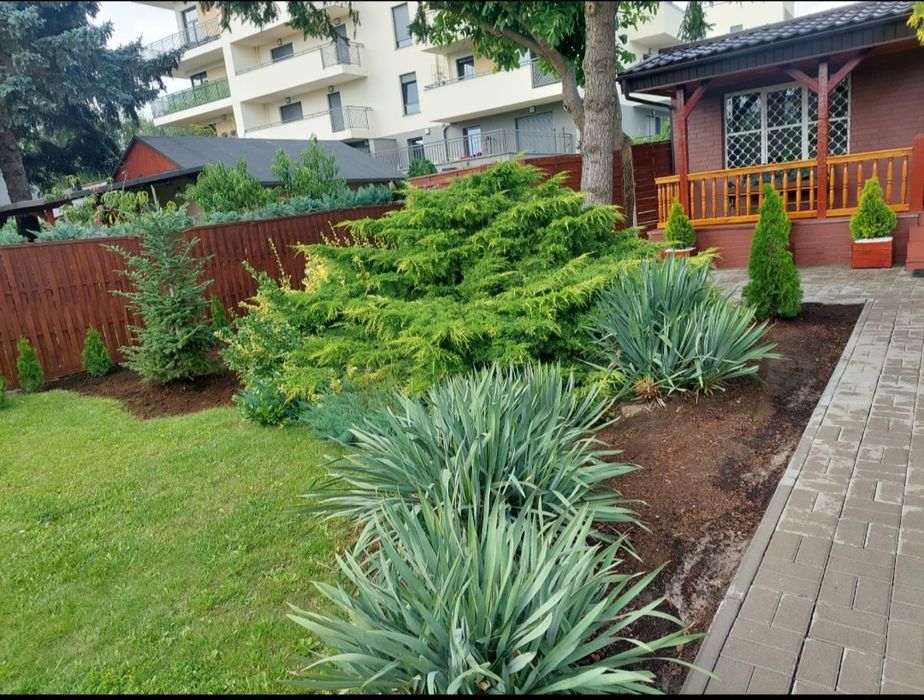 Dzialka ROD centrum Nowa cena ! Do negocjacji dla zdecydowanych !