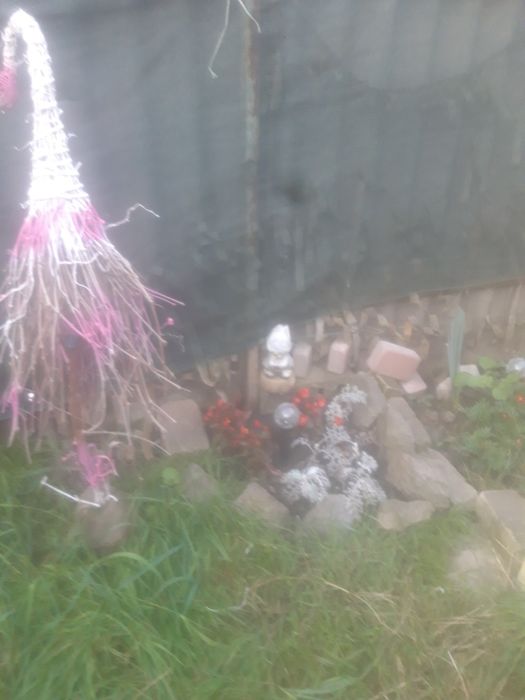 Сдам! Комнату в ч секторе!