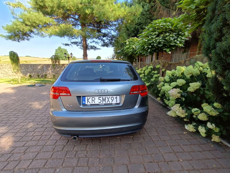 Audi A3 Sportback 8p 1,6 mpi 102KM + hak