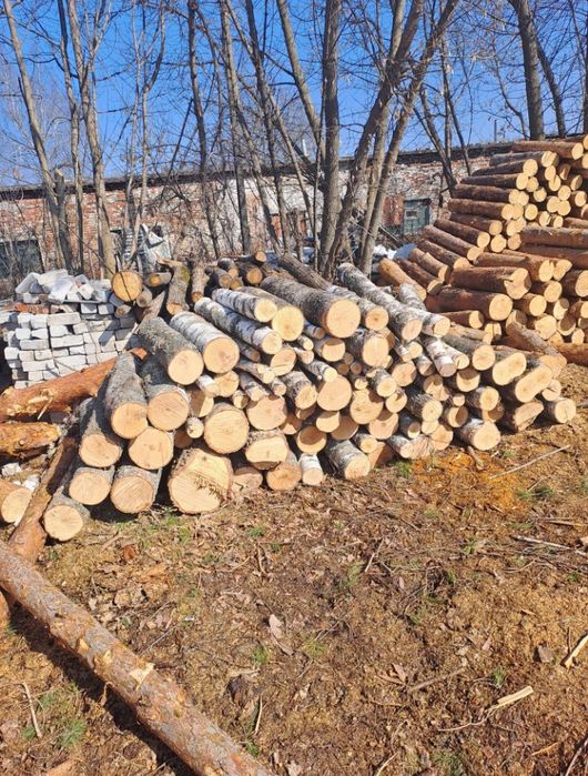 ПРОДАМ ДРОВА премиум качества!
