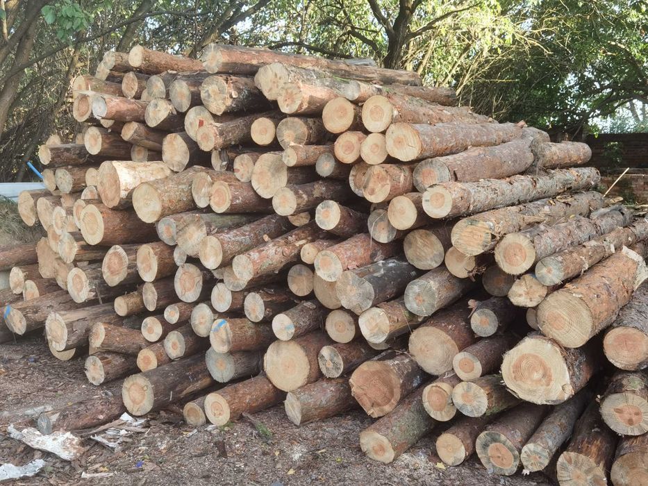 Drewno opałowe liściaste dąb buk brzoza suche