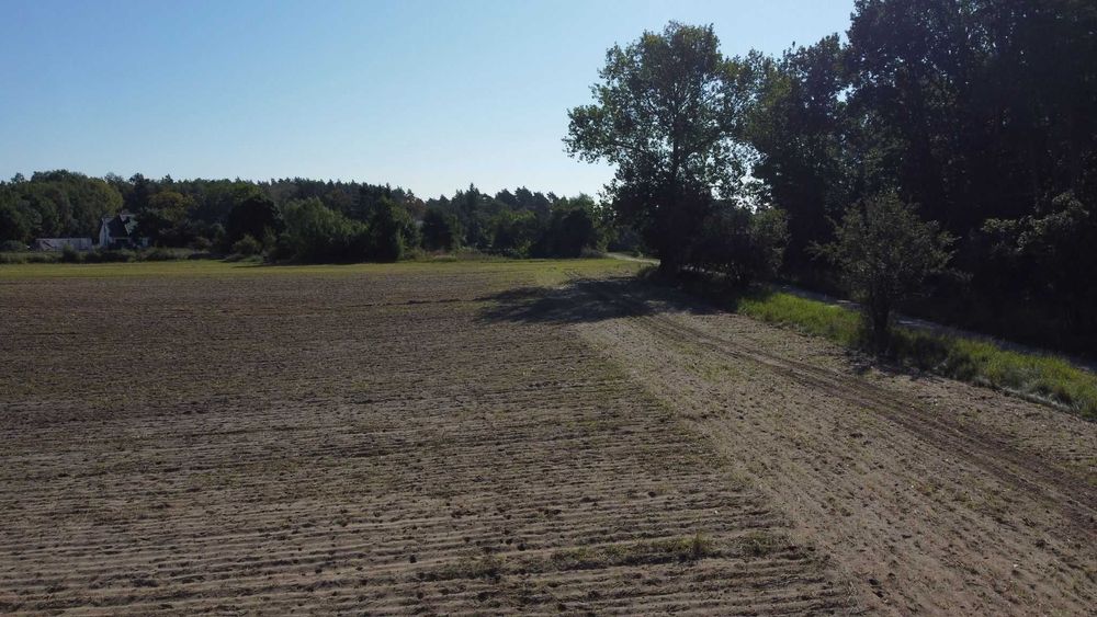 Działka 650 m² z warunkami zabudowy – Jaroszewo Pierwsze - Widok 5