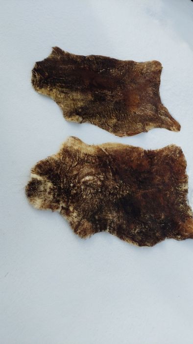 Naturalne skóry owcze super cena 2 sztuki