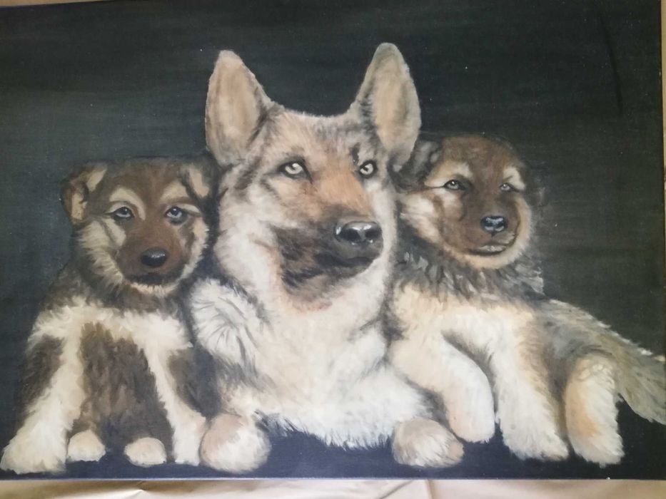 Duży obraz psy owczarek niemiecki wilczur szczenięta, pies na płótnie