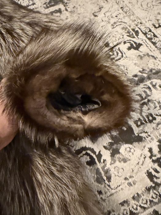 Puszyste futro z lisa