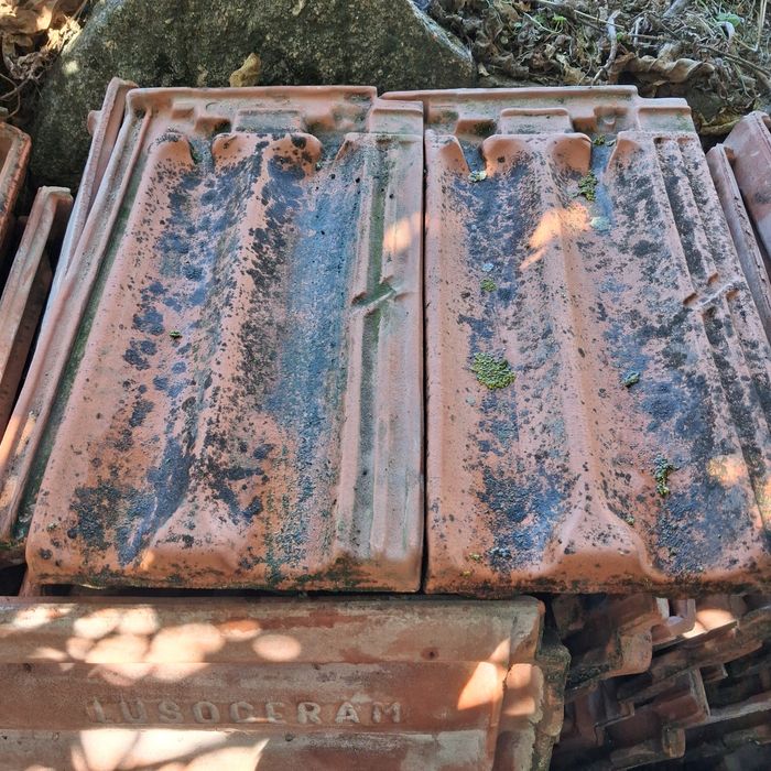 Telhas da  Lusoceram  0,50 € cada