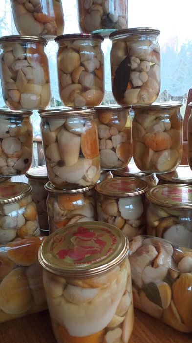 Білі гриби мариновані