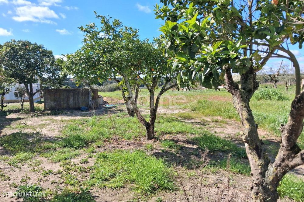 Terreno para construir moradia unifamiliar