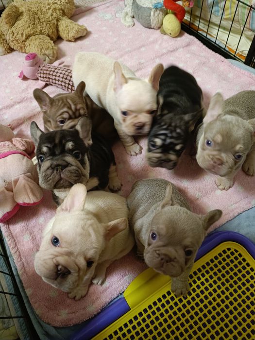 Ось така банда хлопці та дівчата