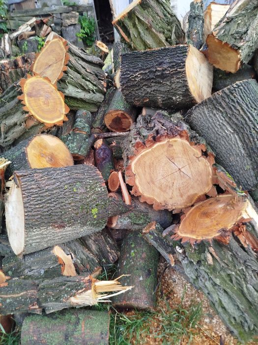 Продам дрова твердих порід