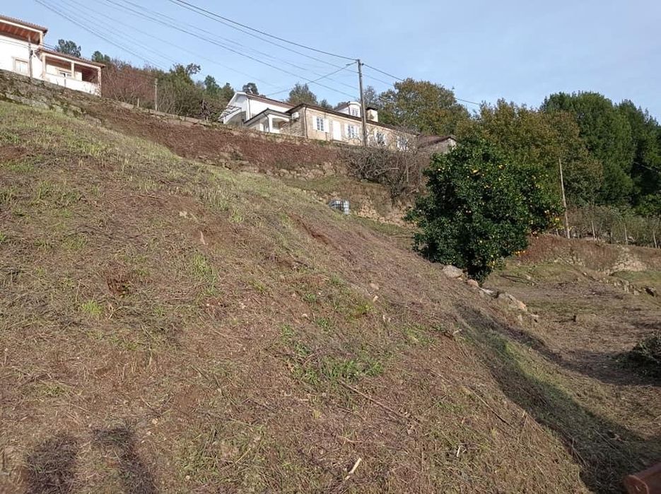 Terra para aterro / Terreno para pastoreio