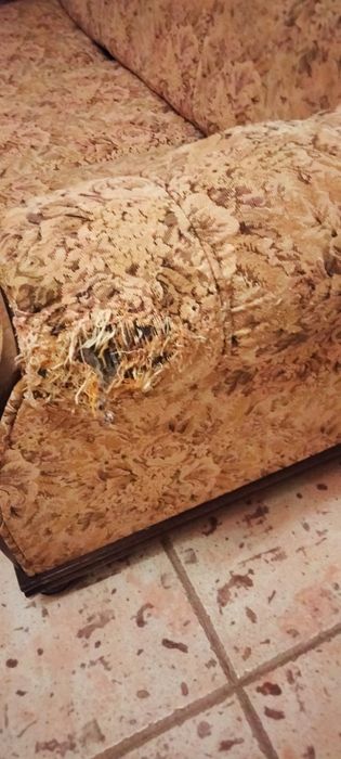 Sofá 3 lugares + 2 individuais