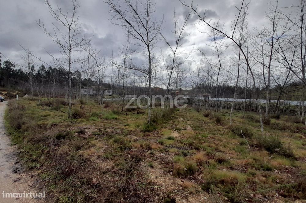Terreno para construção com 5400m2