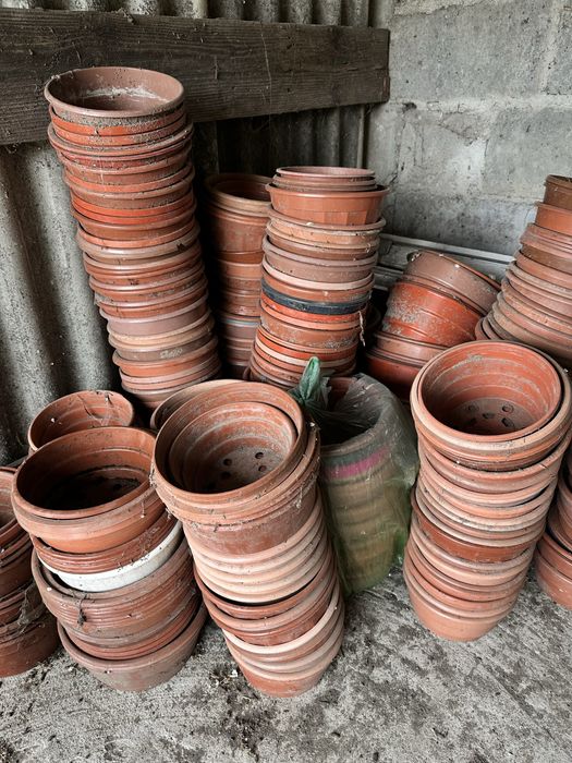 Doniczki produkcyjne ok 200 szt