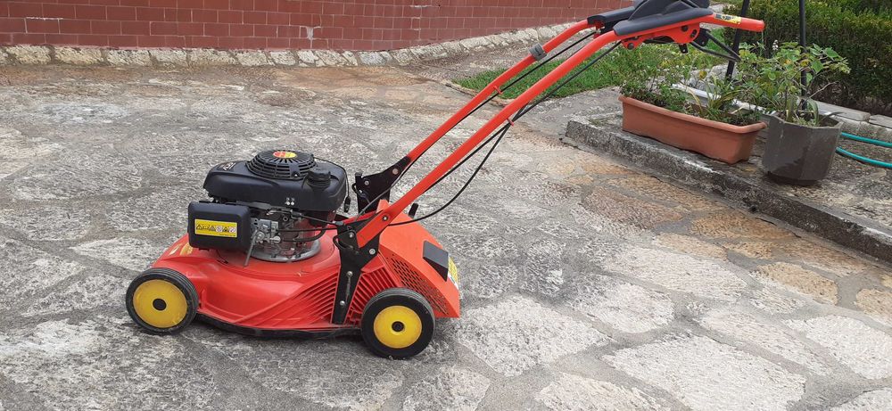 Corta relva Wolf Jardim