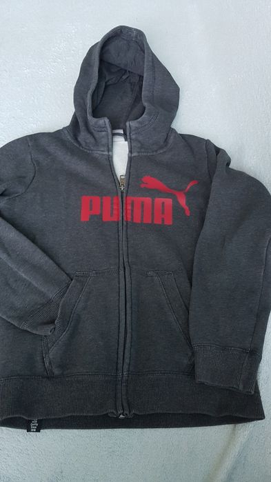 Bluza firmy Puma