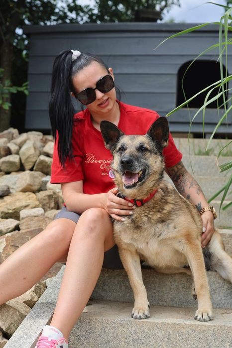 Do adopcji samiec ok 9lat