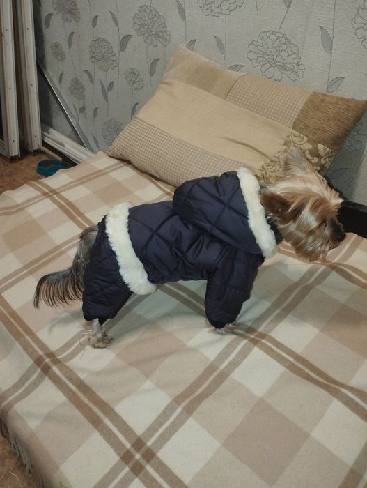 Продам одежду для мелких пород собак